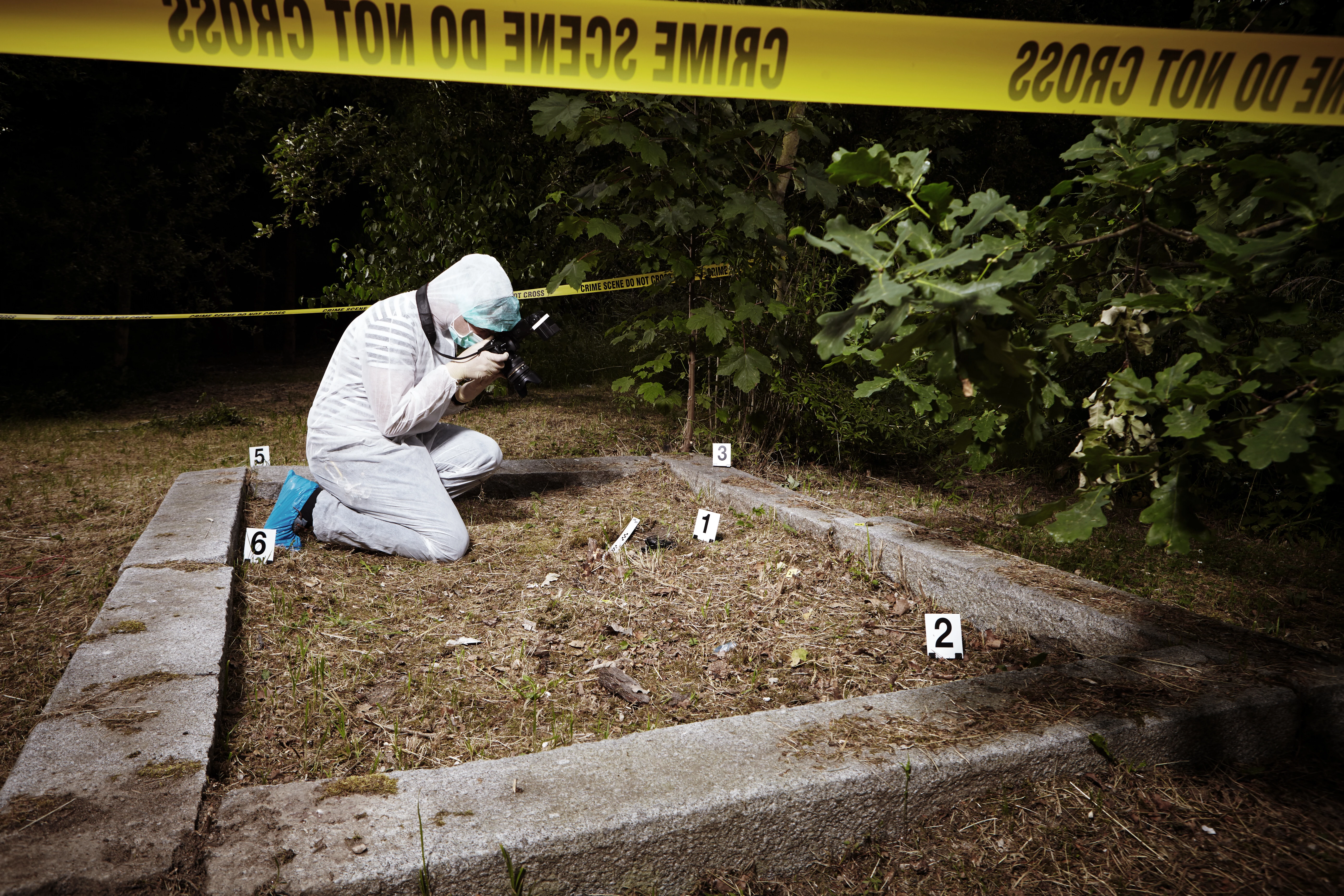 Ecology forensics  — delivering unrivalled expertise and range of services