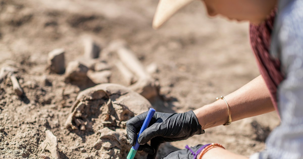 Forensic Archaeology - Forensic Access