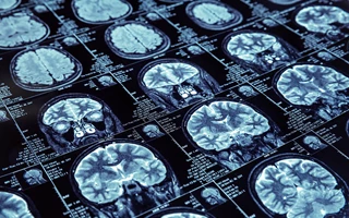 The Rise of the Second Post Mortem Desktop Review