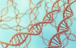 Forensic DNA Profiling