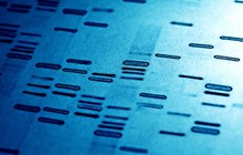 Understanding and Challenging DNA Evidence