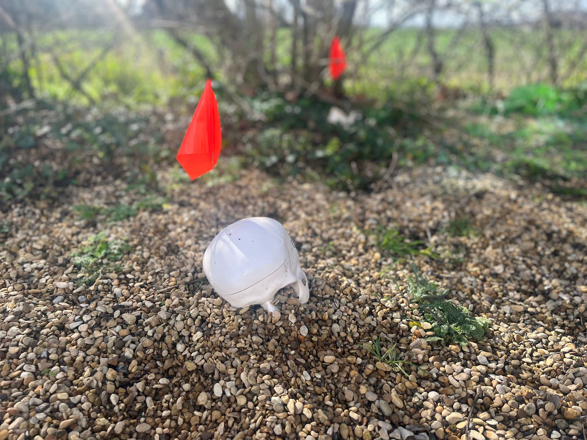 Forensic Practitioners