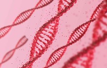 Understanding & Challenging DNA Evidence
