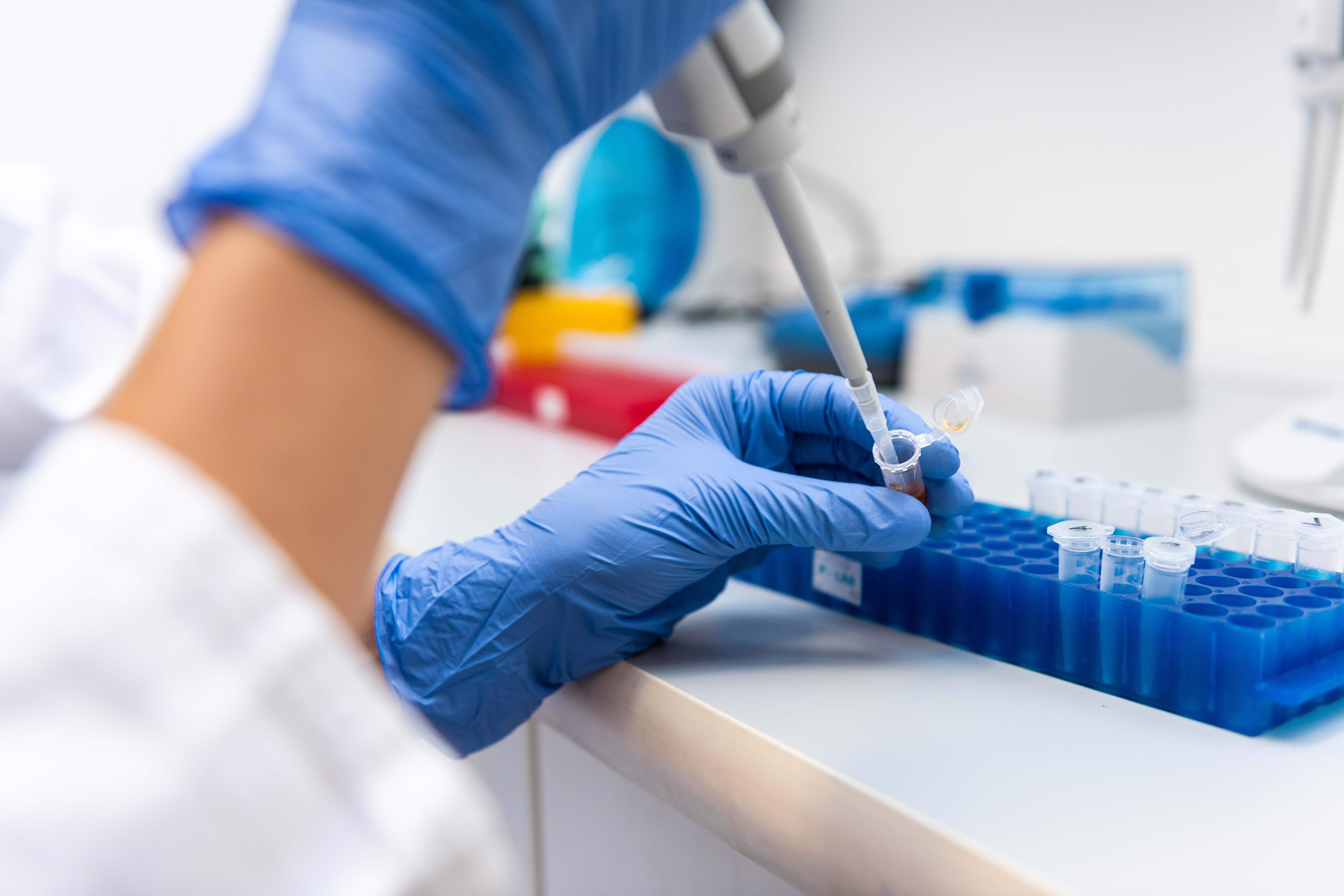 The Friday/Monday Case Study