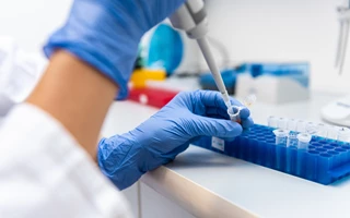 The Friday/Monday Case Study