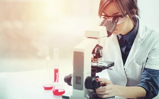 Fragmentation in Forensics: Key Information for Legal Professionals