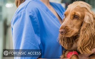 Forensic Access Relaunches Specialist Training for Veterinary Surgeons and Nurses