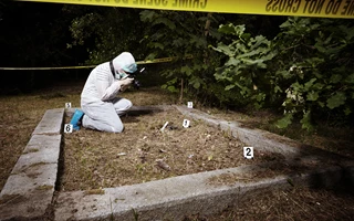 Ecology forensics  — delivering unrivalled expertise and range of services