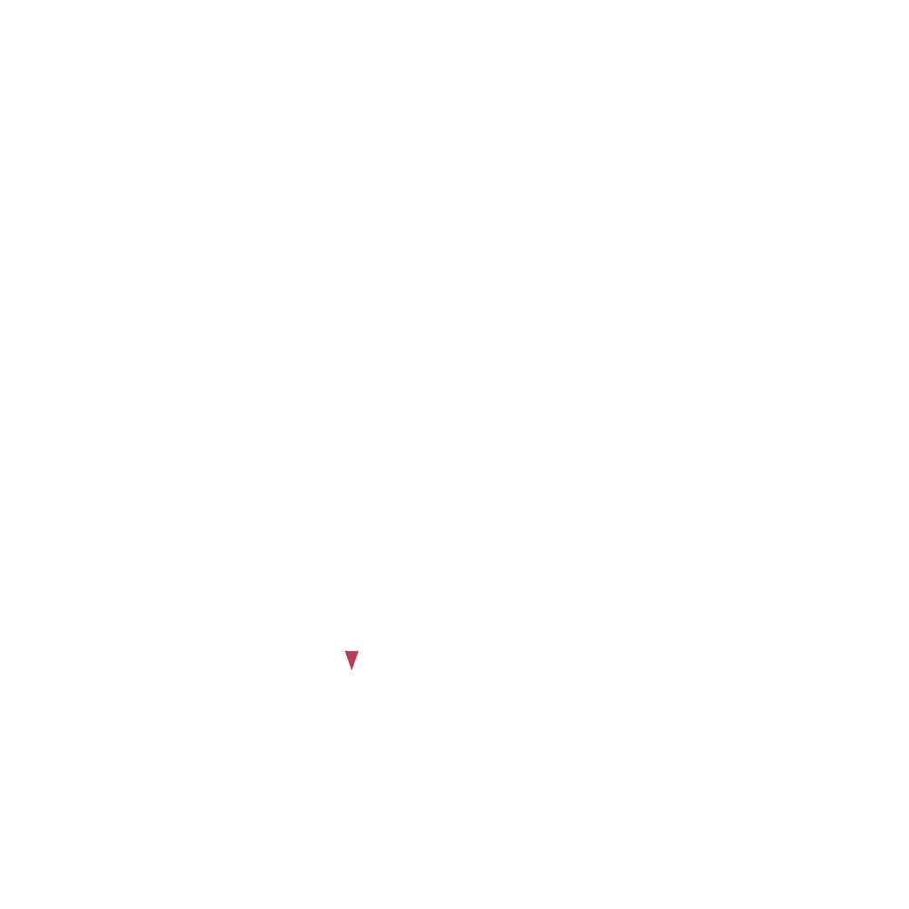 Expert Opinion White Expert Opinion White