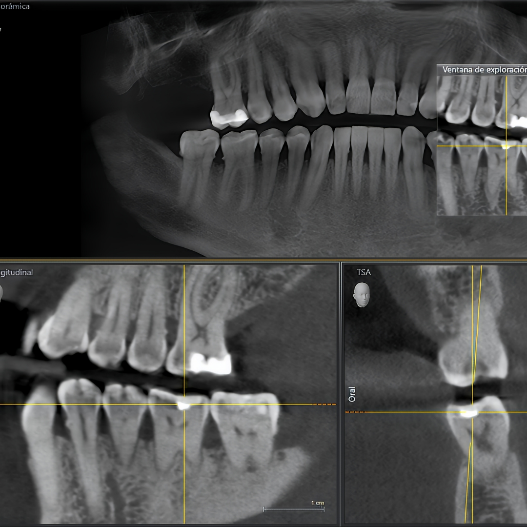 Odontology Odontology