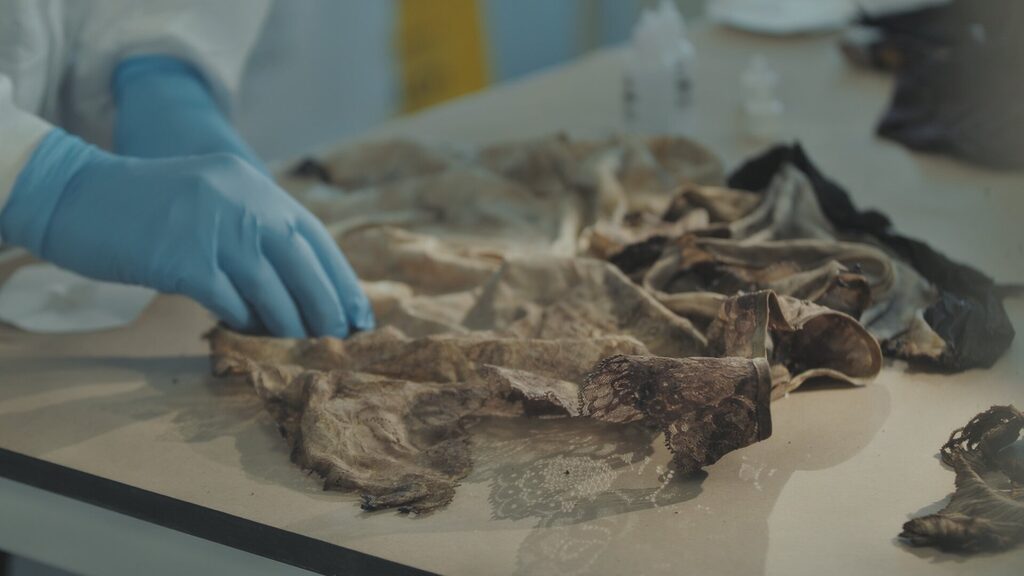 Why Understanding Forensic Biology Evidence Matters In Sexual Offence Cases Why Understanding Forensic Biology Evidence Matters In Sexual Offence Cases