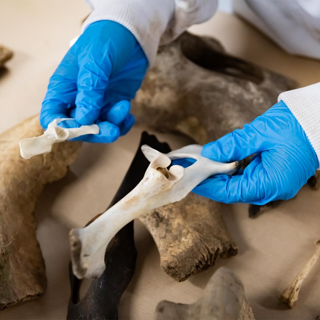 Human Remains Recovery And Identification Human Remains Recovery And Identification