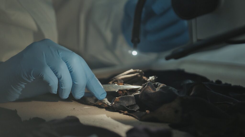 Channel 4 Documentary Highlights The Importance Of Reinvestigating Cold Cases Channel 4 Documentary Highlights The Importance Of Reinvestigating Cold Cases