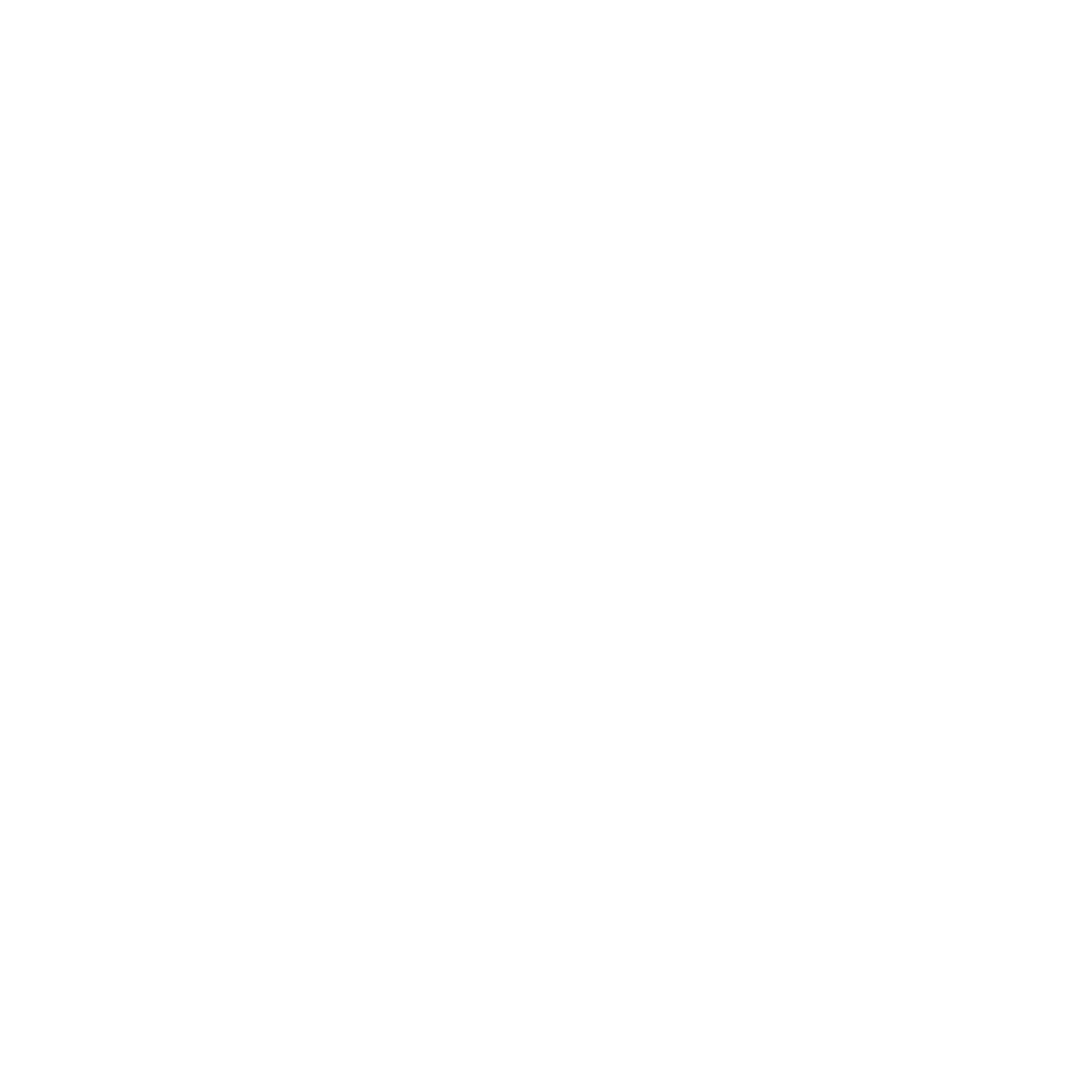 Expert Opinion Expert Opinion