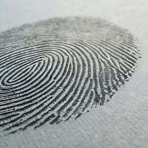 Home | Forensic Access