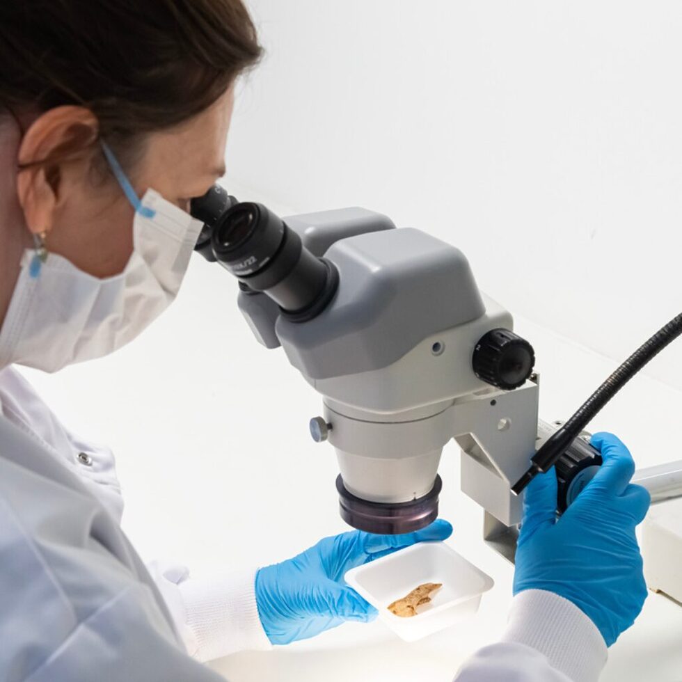 Human Remains Recovery & Identification | Forensic Access