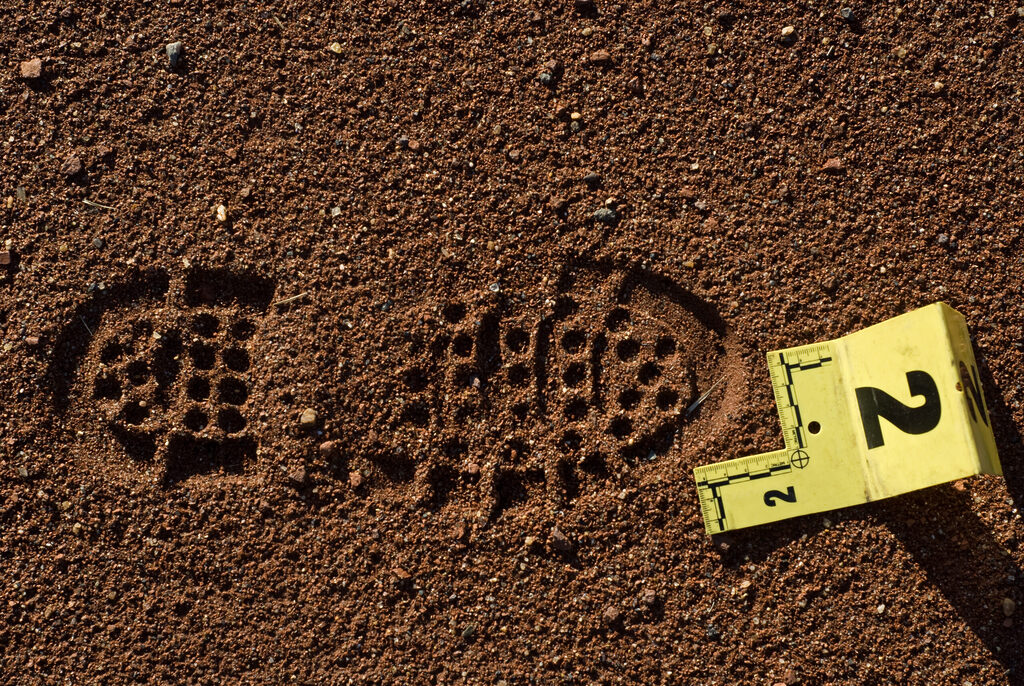 Footwear Mark Evidence Footwear Mark Evidence