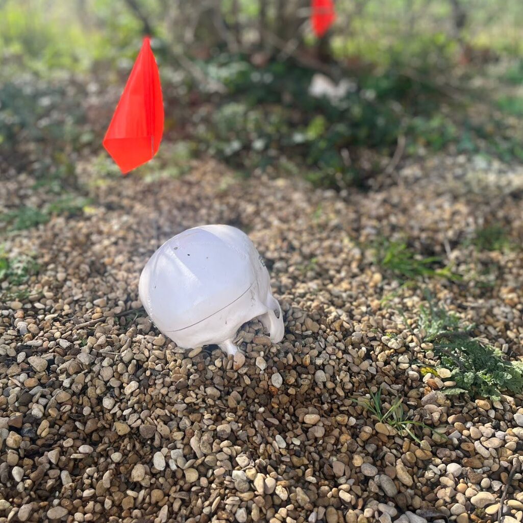 Surface Dispersal Of Human Remains - Forensic Practitioners